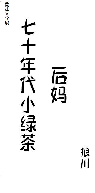 七十年代小后妈免费阅读